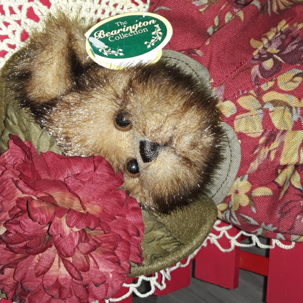 Beautiful, bearington  bear  NWT